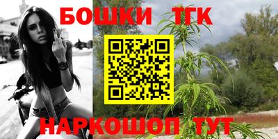 spice Гусиноозёрск