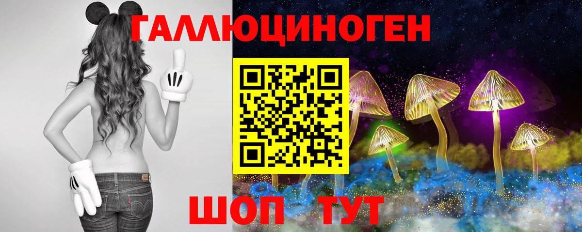Псилоцибиновые грибы Magic Shrooms Курчатов